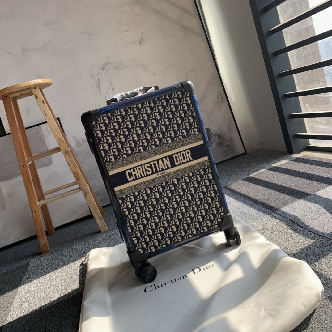 Dior luggage-29
