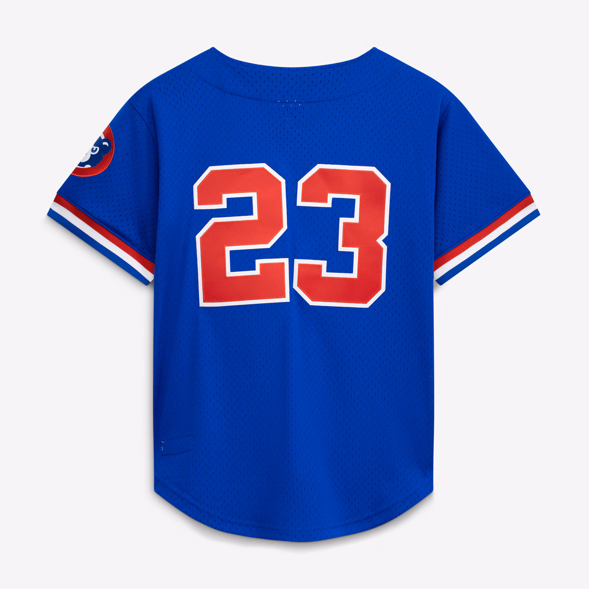 Ryne Sandberg Chicago Cubs Mitchell & Ness Cooperstown Collection 1996 Mesh Batting Practice Button-Up Jersey - Royal