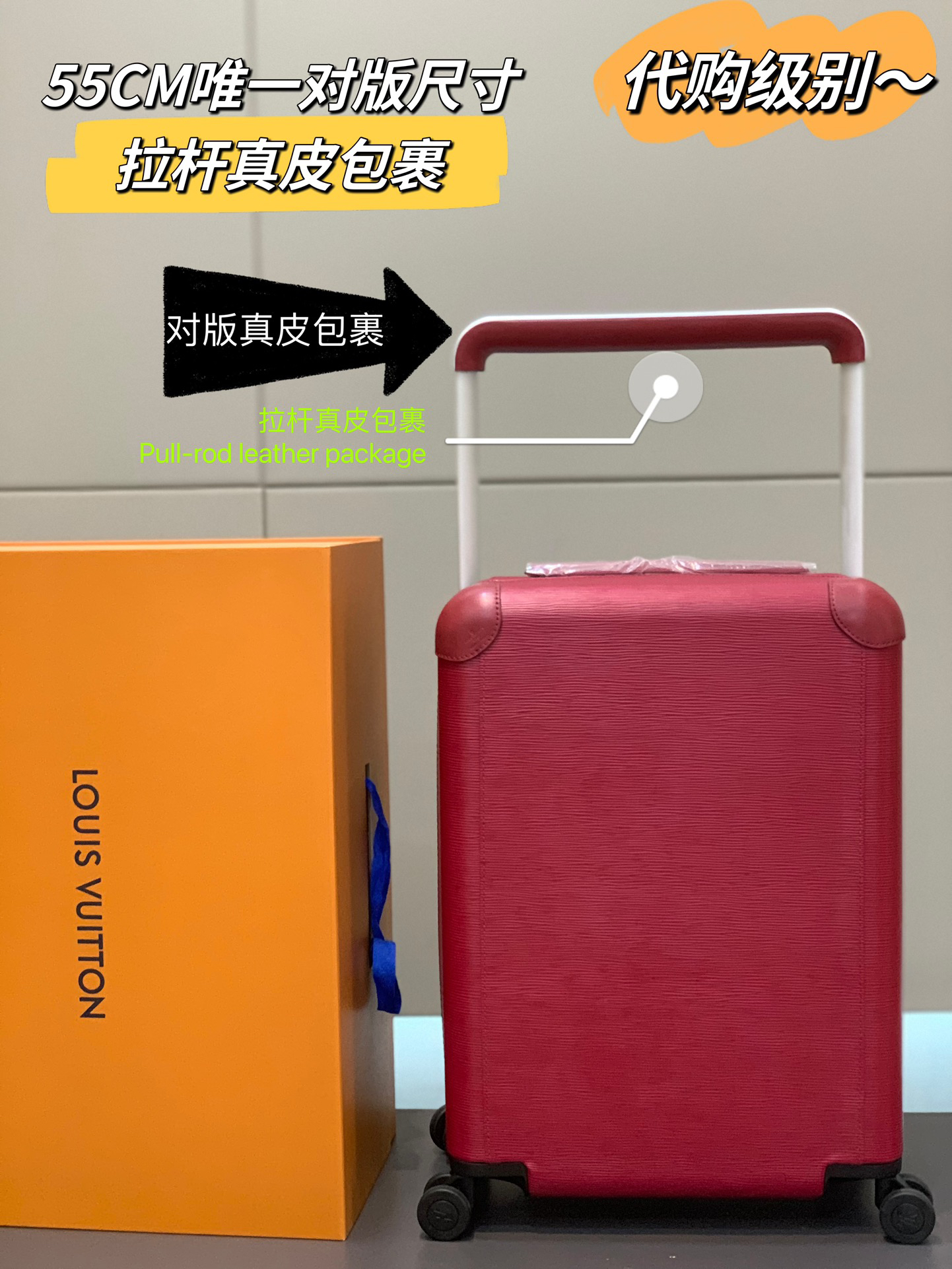 LV luggage-43