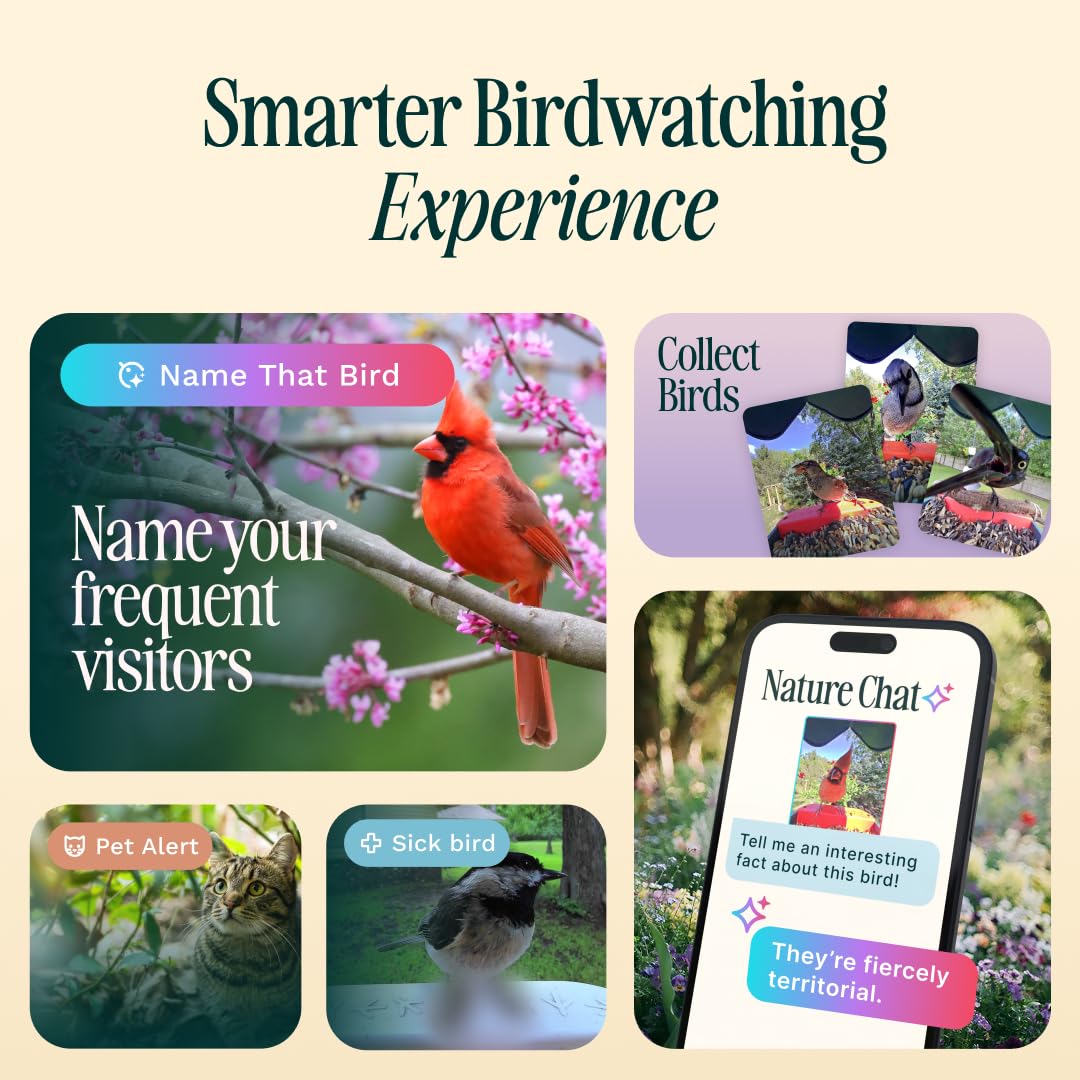 BIRD BUDDY Birdbuddy PRO Solar Smart Bird Feeder with Camera