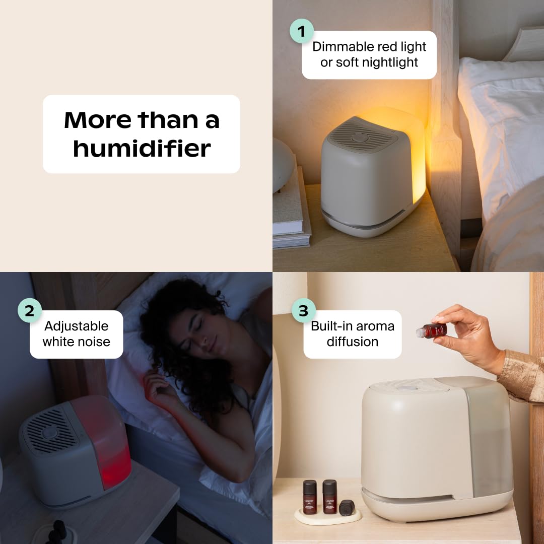 CANOPY Bedside Humidifier 2.0 - 36 HR Run Time, 2.5L Capacity