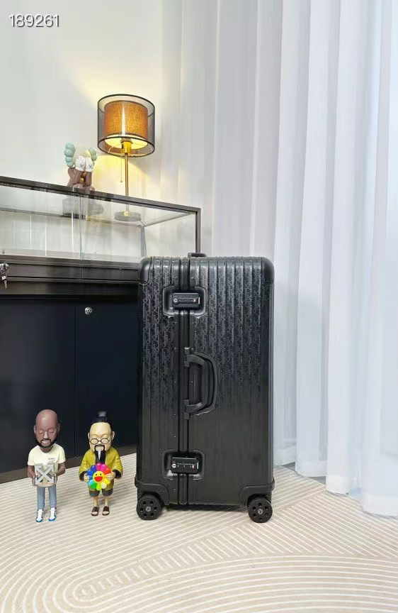 Dior luggage-2
