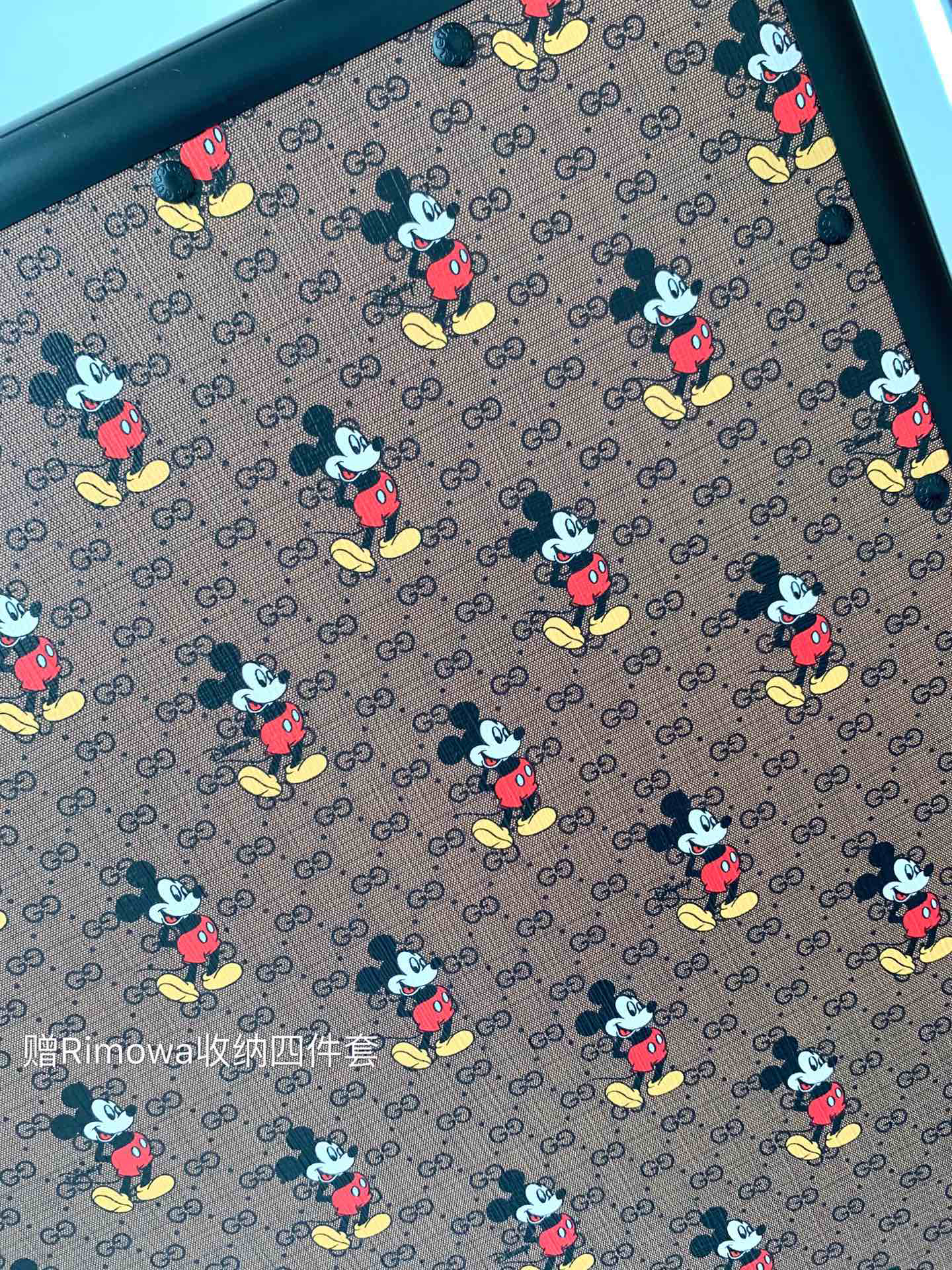 Gucci luggage-33