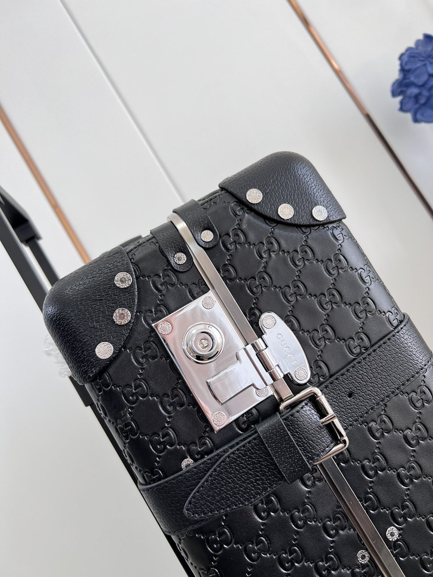Gucci luggage-1