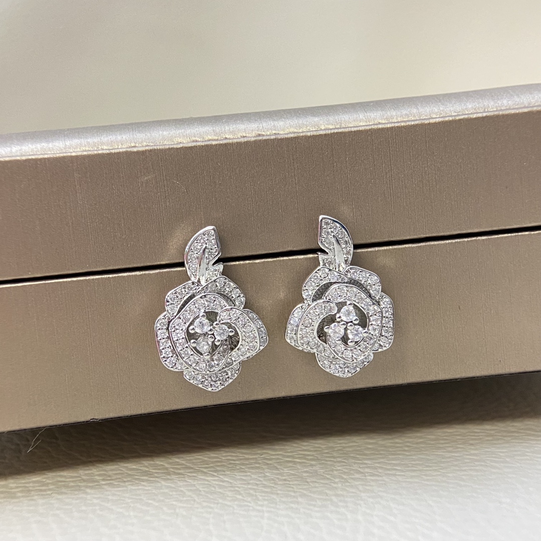 Dior earrings-59