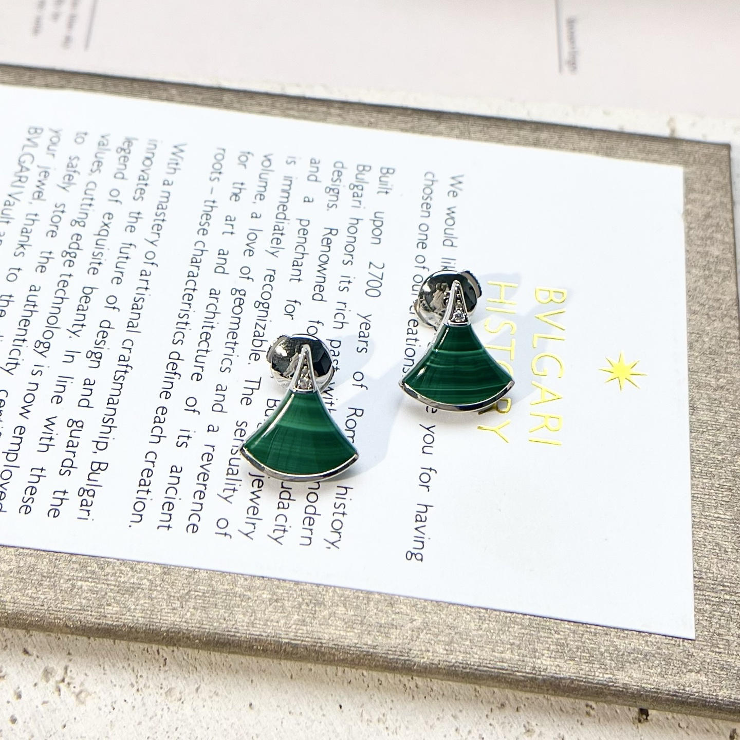 Bottega Veneta earrings-29