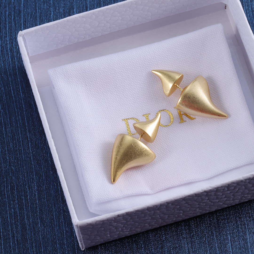 Dior earrings-51
