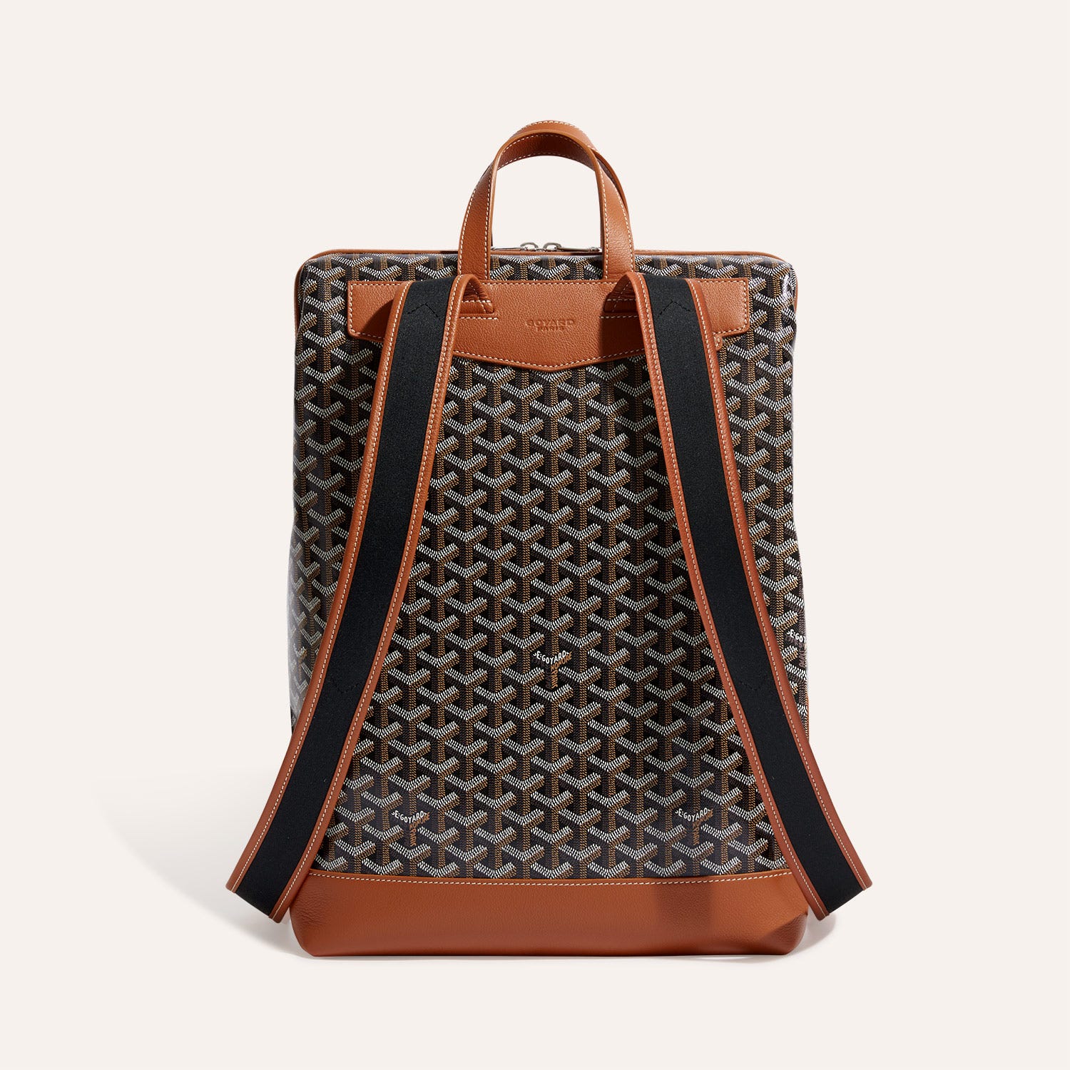 Cisalpin Backpack
