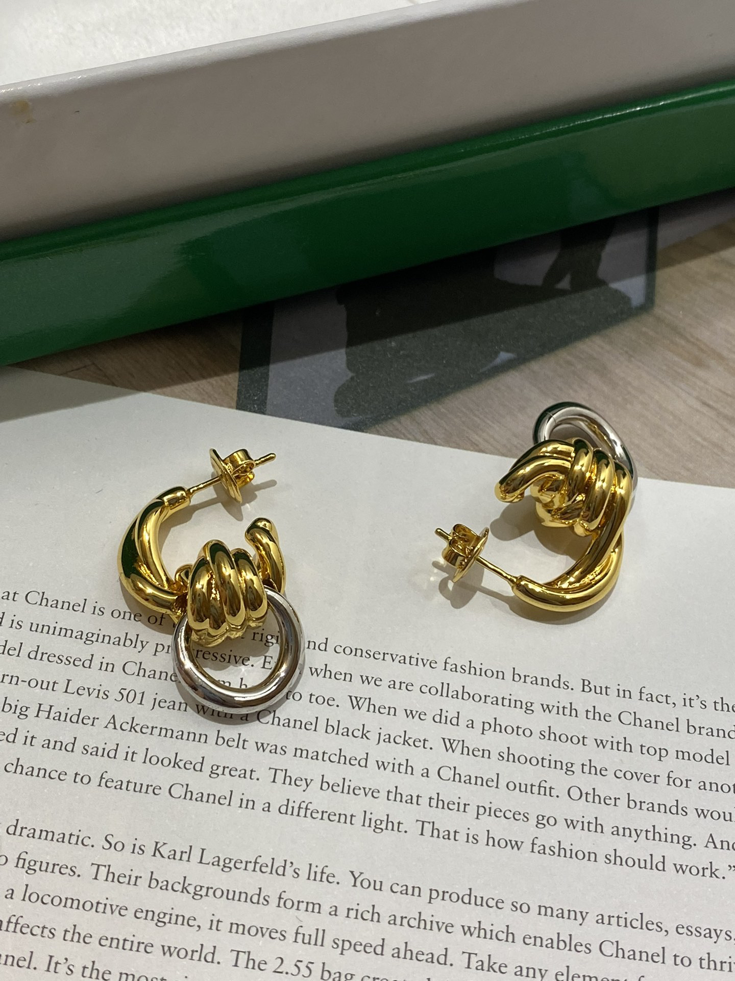 Bottega Veneta earrings-53