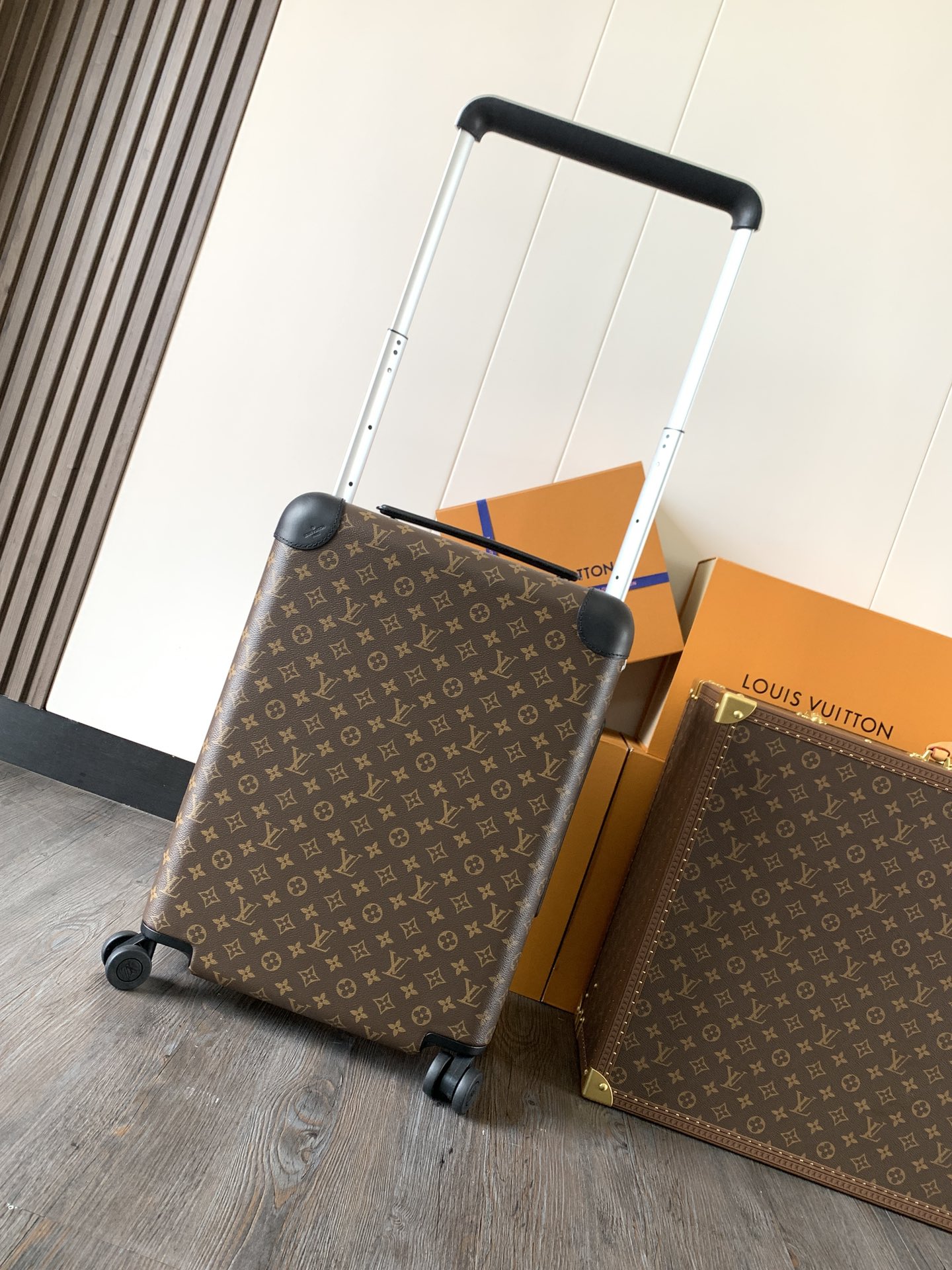 LV luggage-51