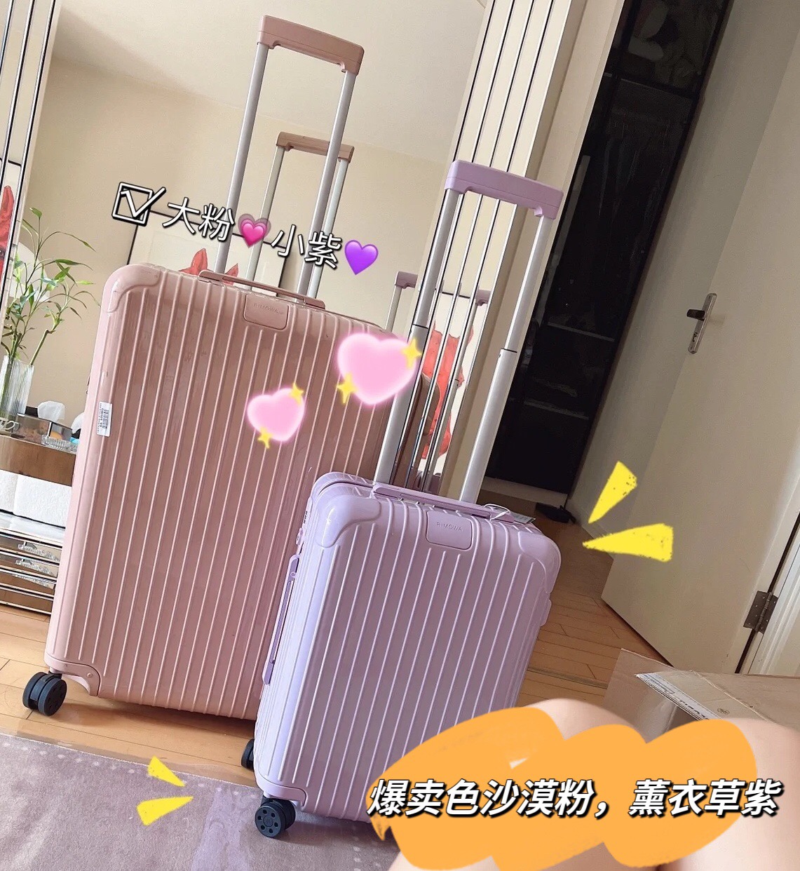 RIMOWA luggage-103