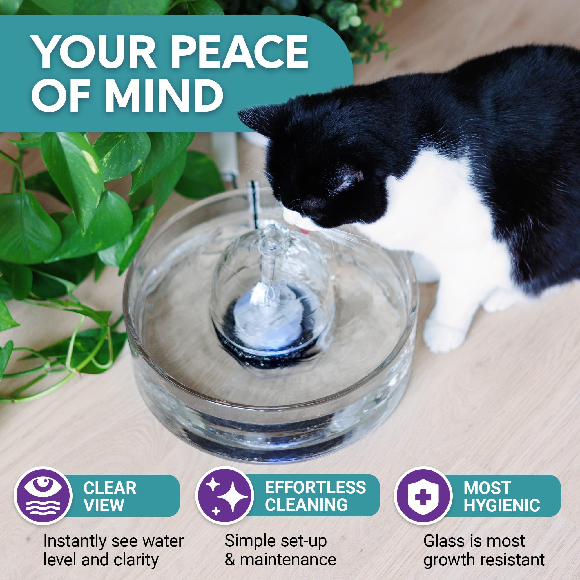 BROOK Glass Pet Fountain - 90oz Cat & Dog Water Dispenser