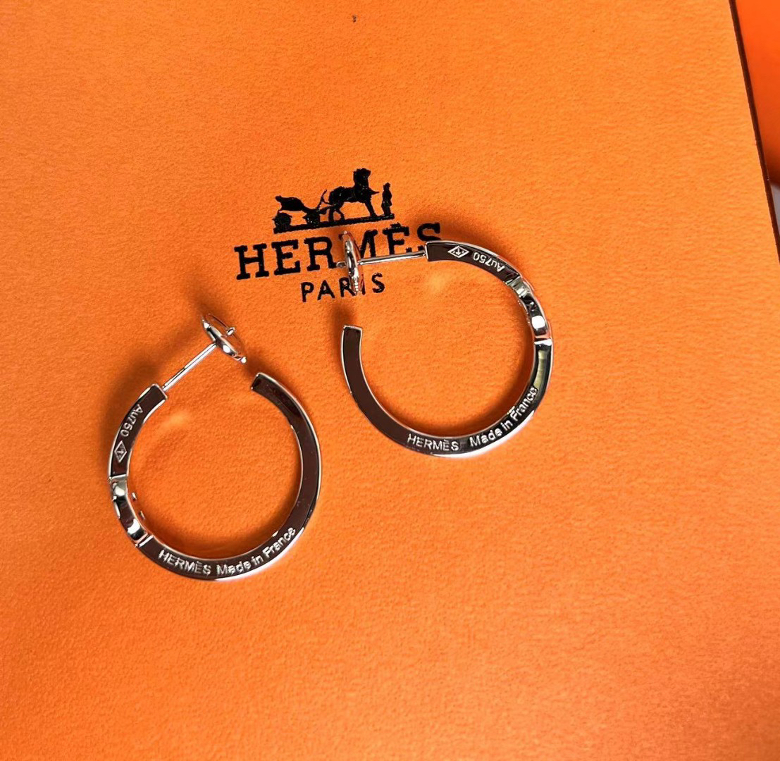 Hermes earrings-61