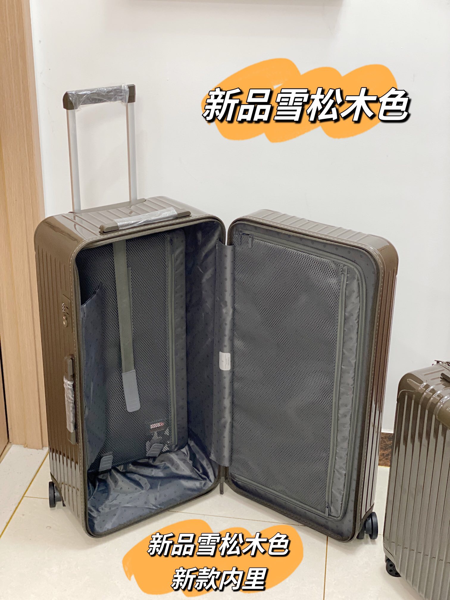RIMOWA luggage-99