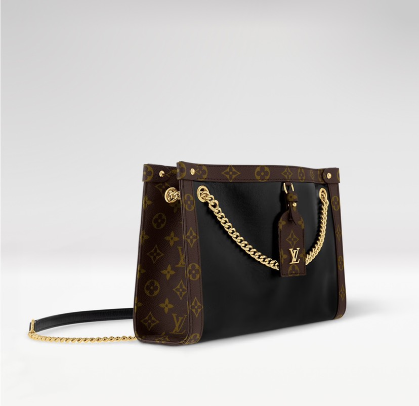 Louis Vuitton Hot New Product-118