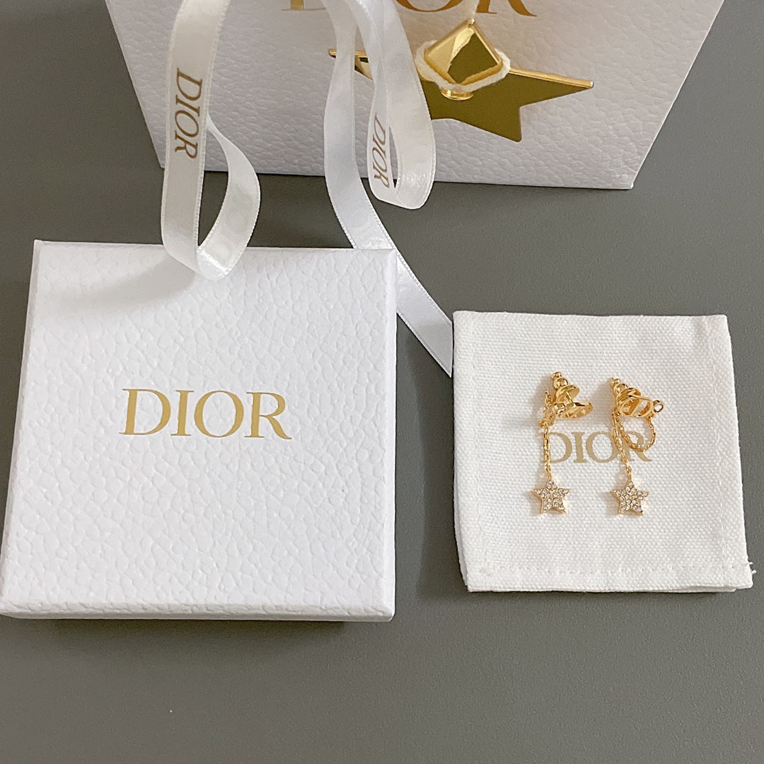 Dior earrings-40