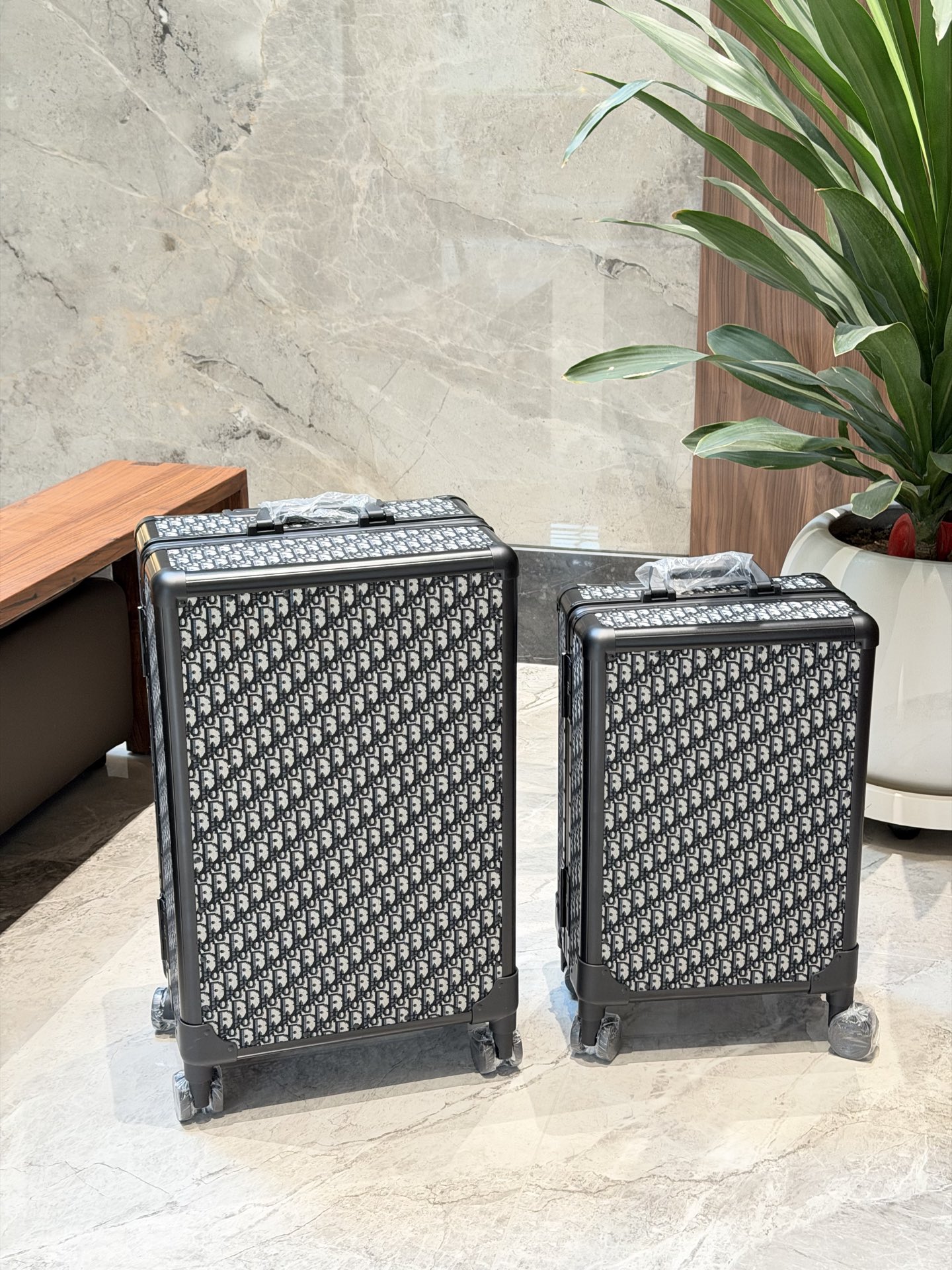 Dior luggage-28