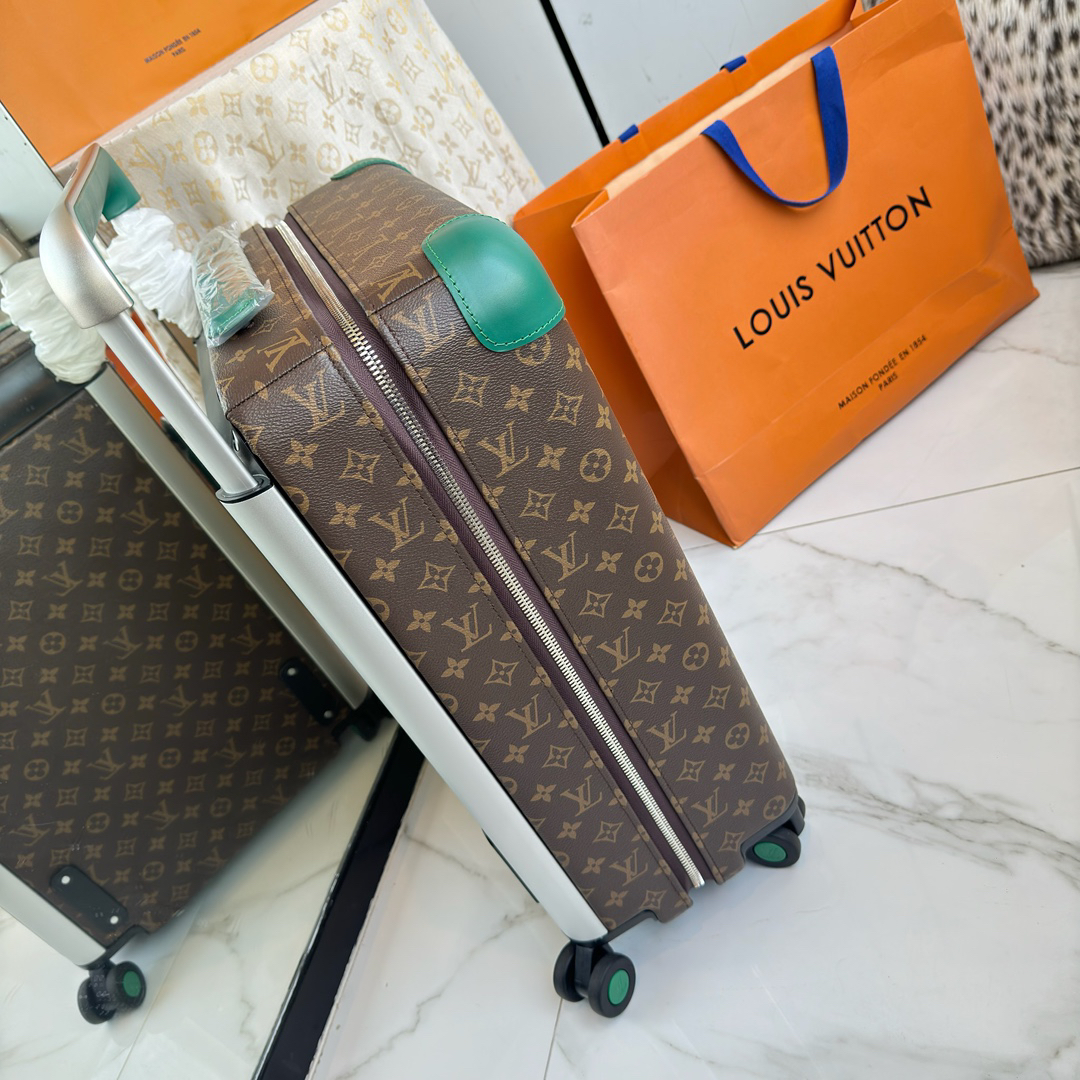LV luggage-82