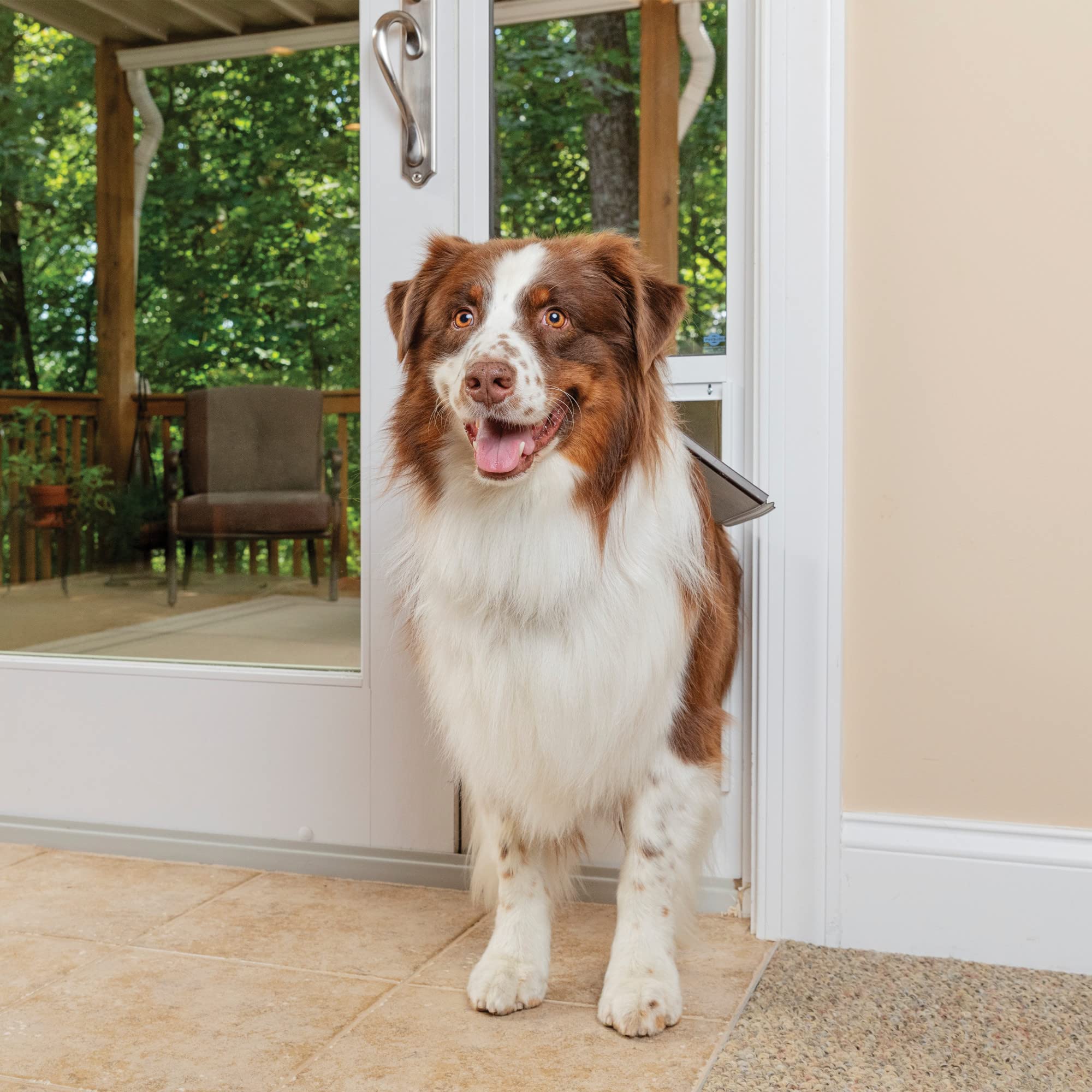 PETSAFE Sliding Glass Pet Door - No-Cut DIY Install for Renters