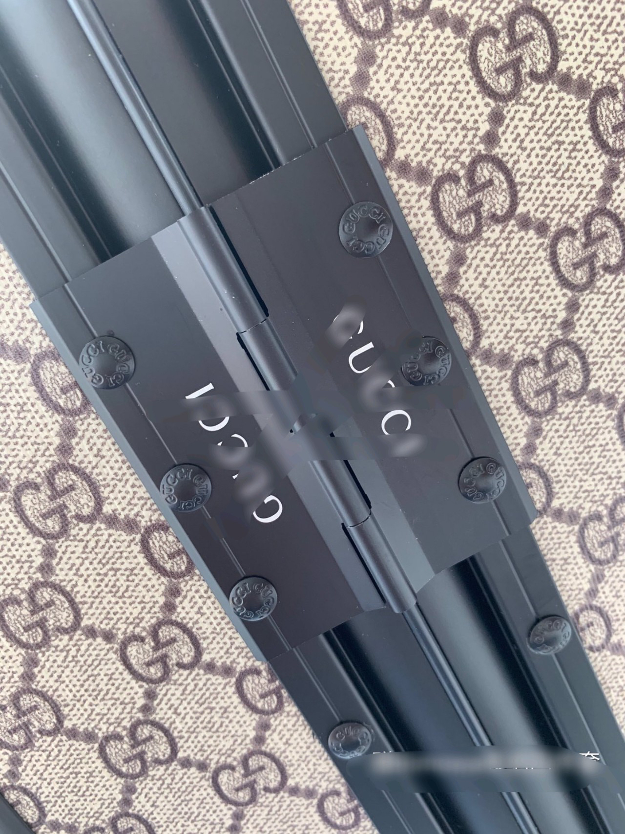 Gucci luggage-25