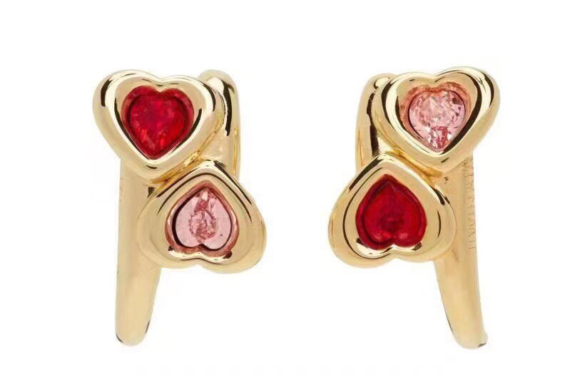 Bottega Veneta earrings-55