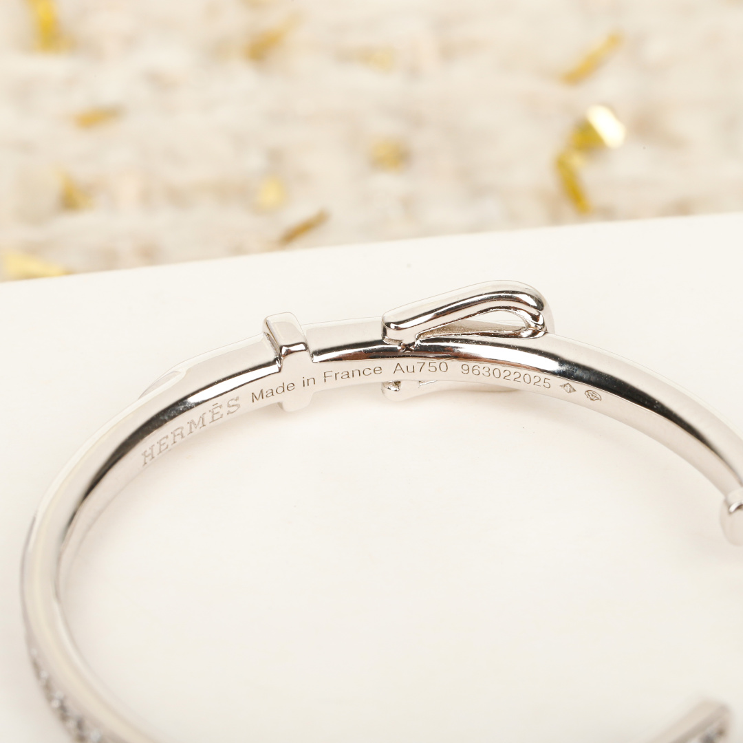Hermes earrings-27