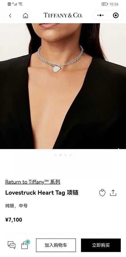 tiffany necklace-94