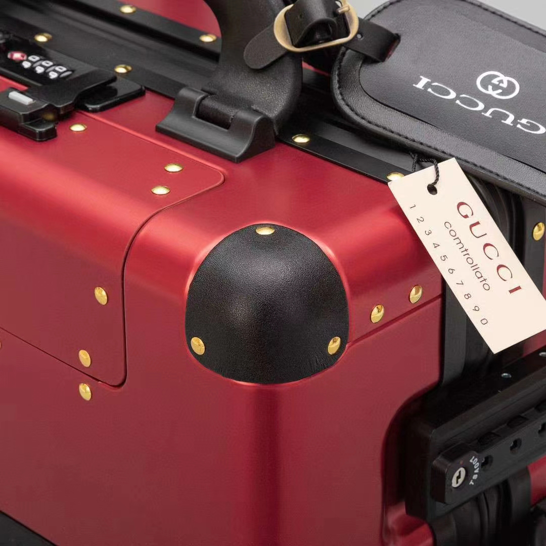 Gucci luggage-11