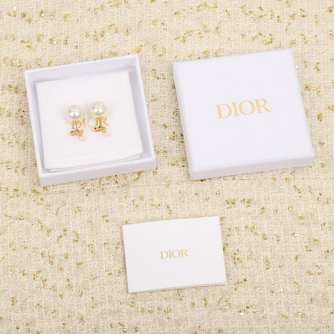 Dior earrings-56
