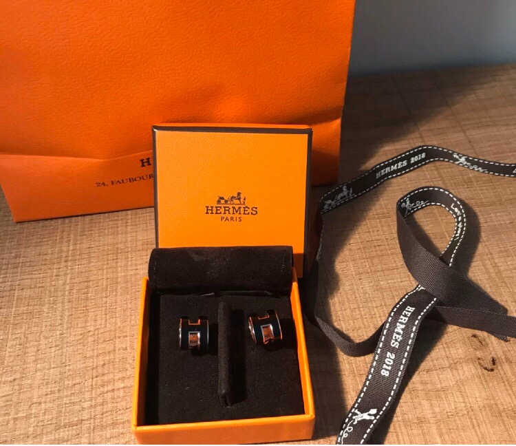 Hermes earrings-51