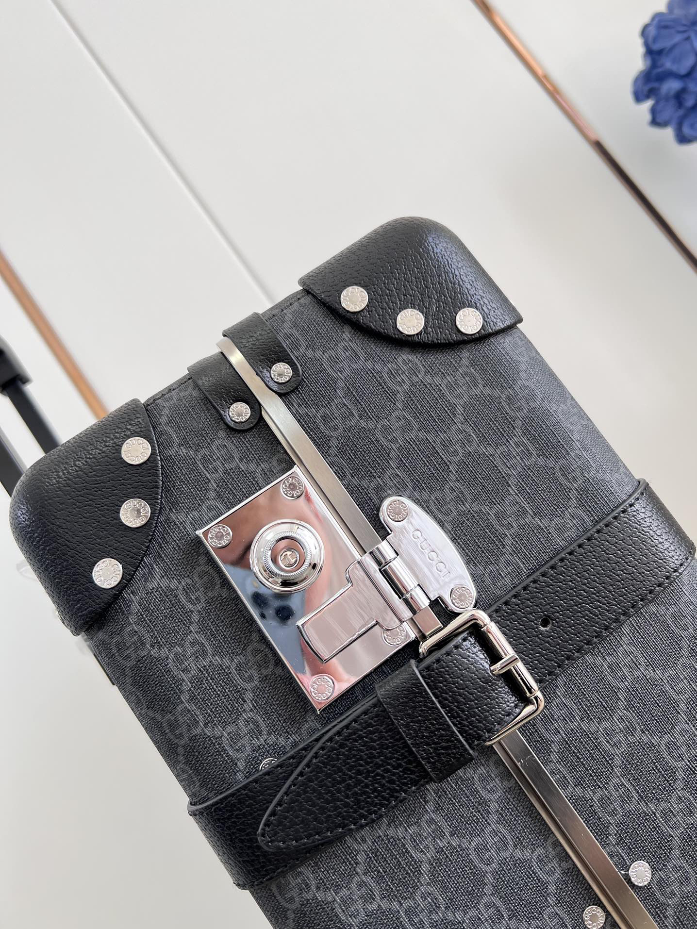Gucci luggage-6