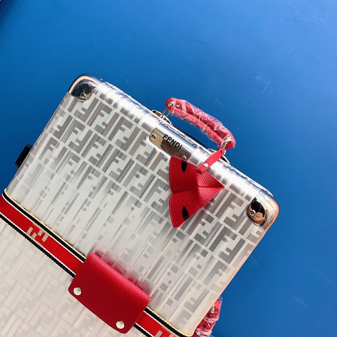Fendi luggage-21