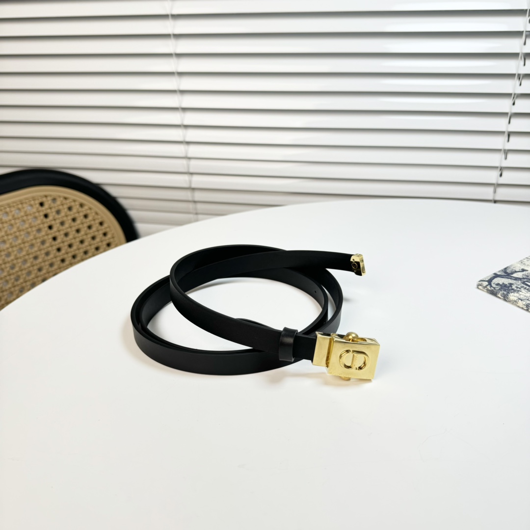 Dior belt-57