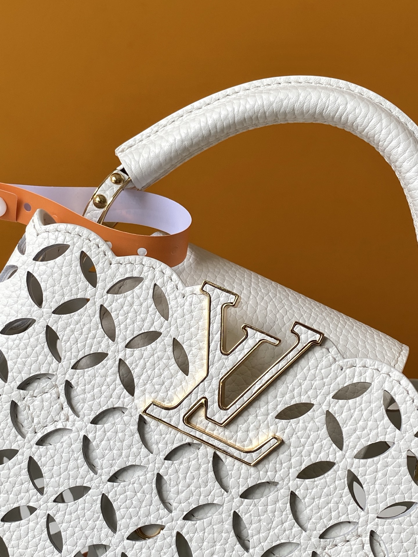 Louis Vuitton Hot New Product-100