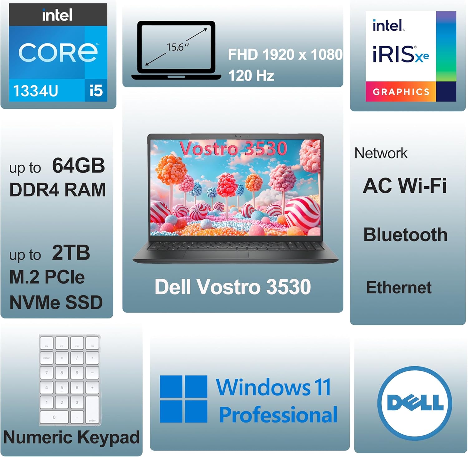Dell 15.6