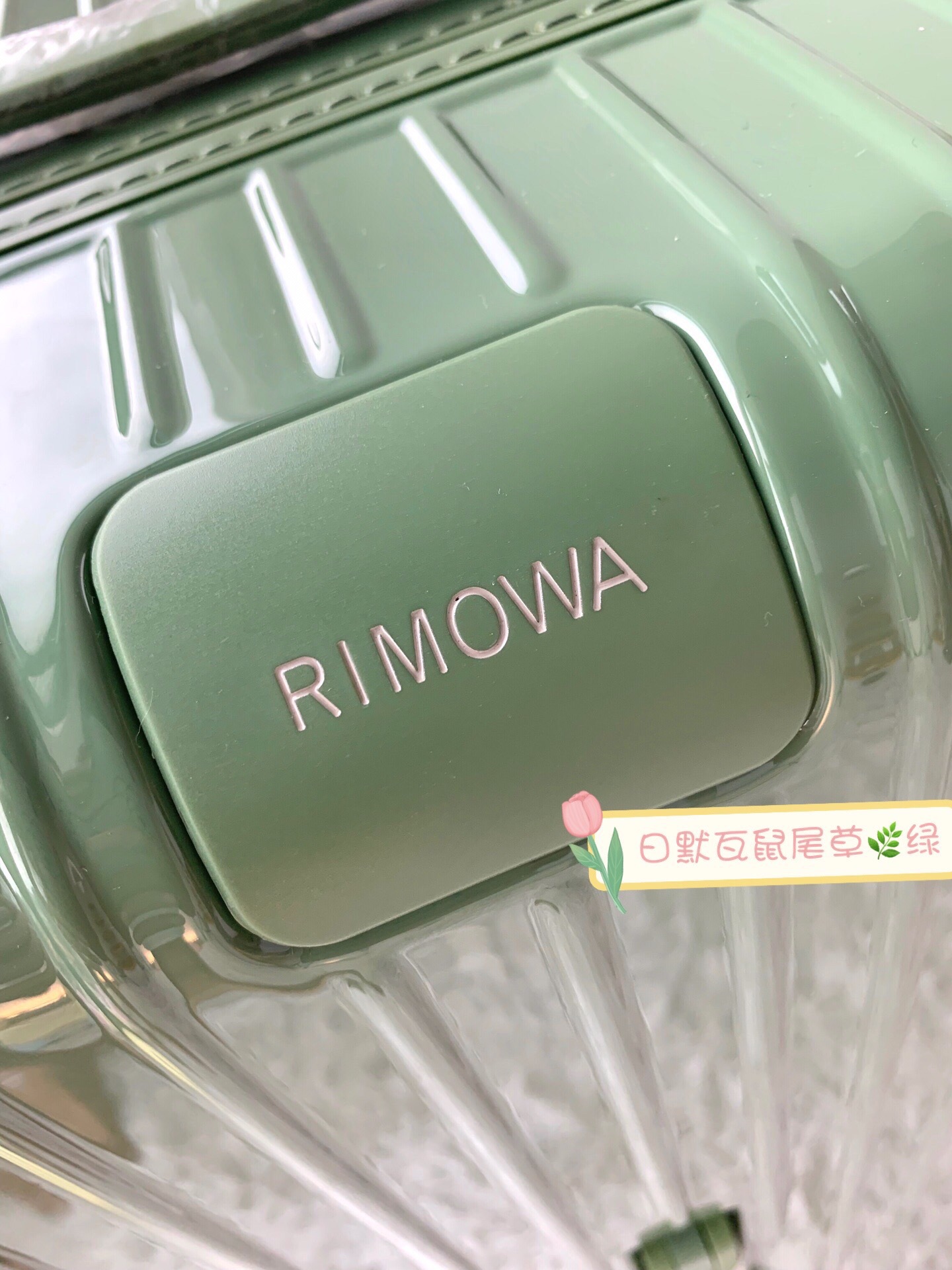 RIMOWA luggage-95
