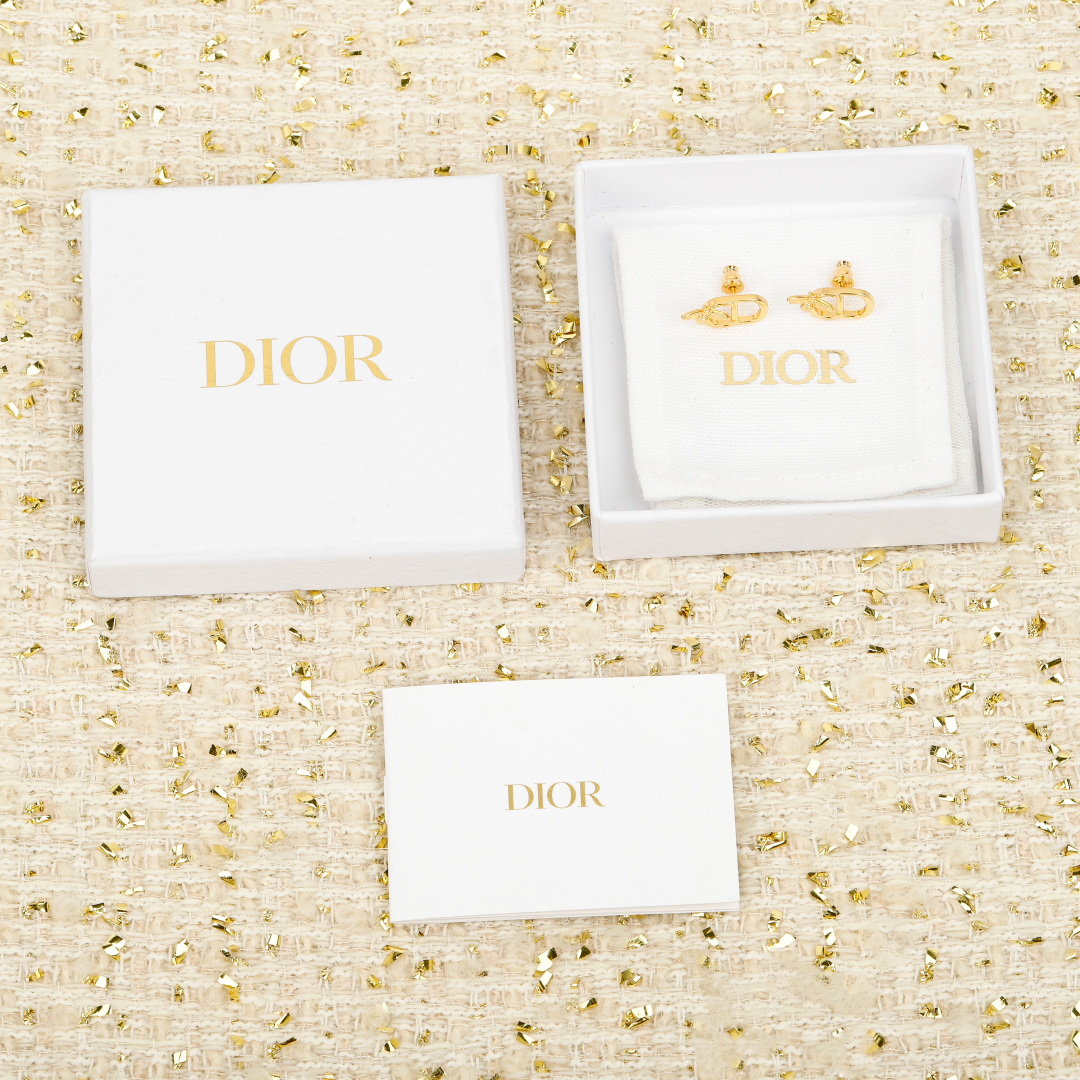 Dior earrings-26