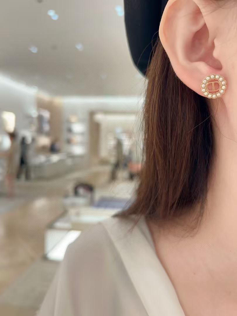 Dior earrings-65
