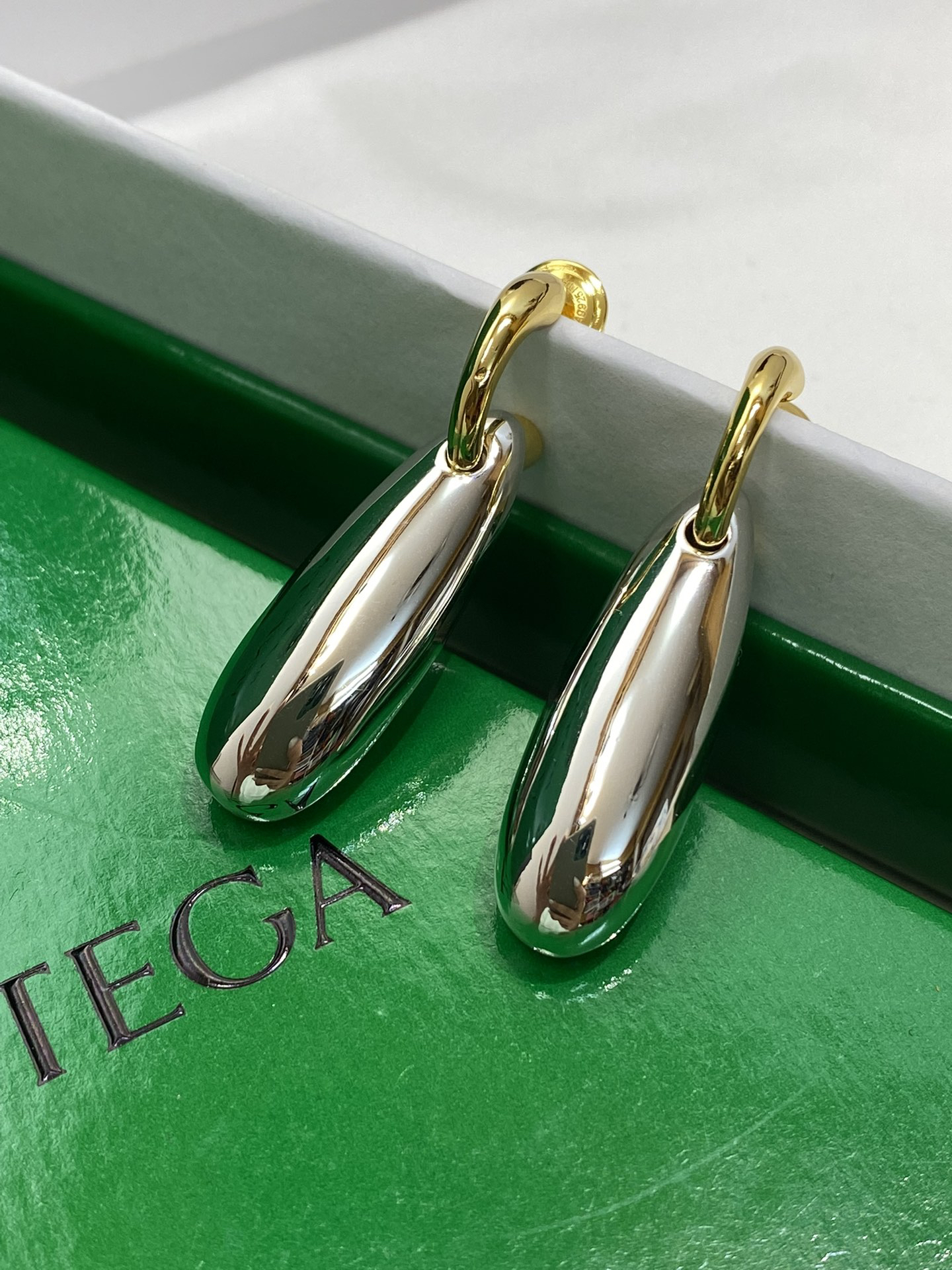 Bottega Veneta earrings-70