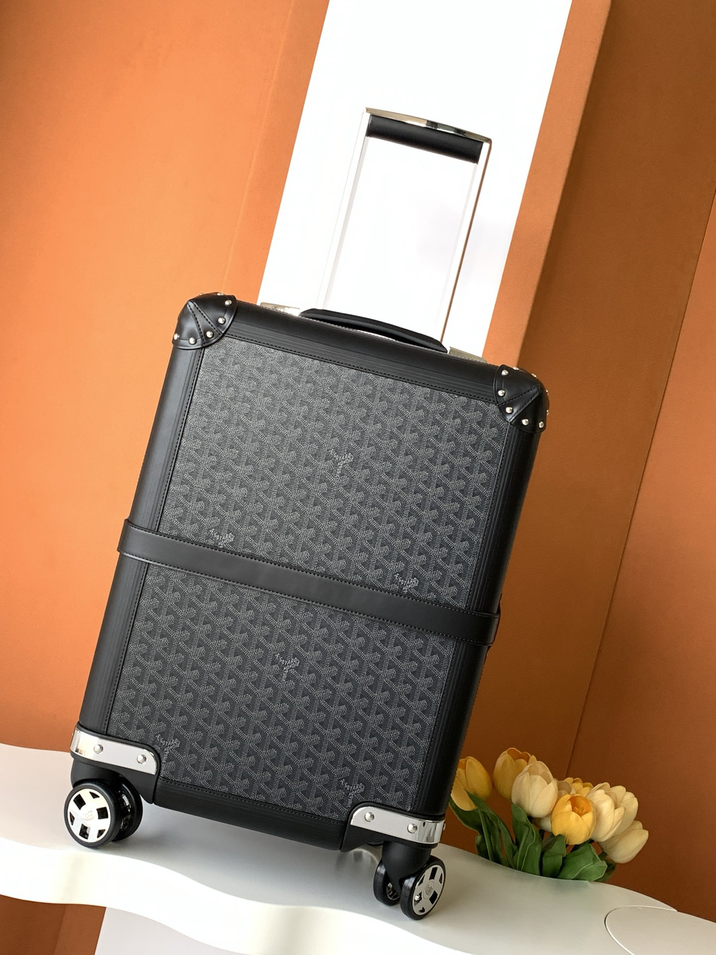 Goyard luggage-42
