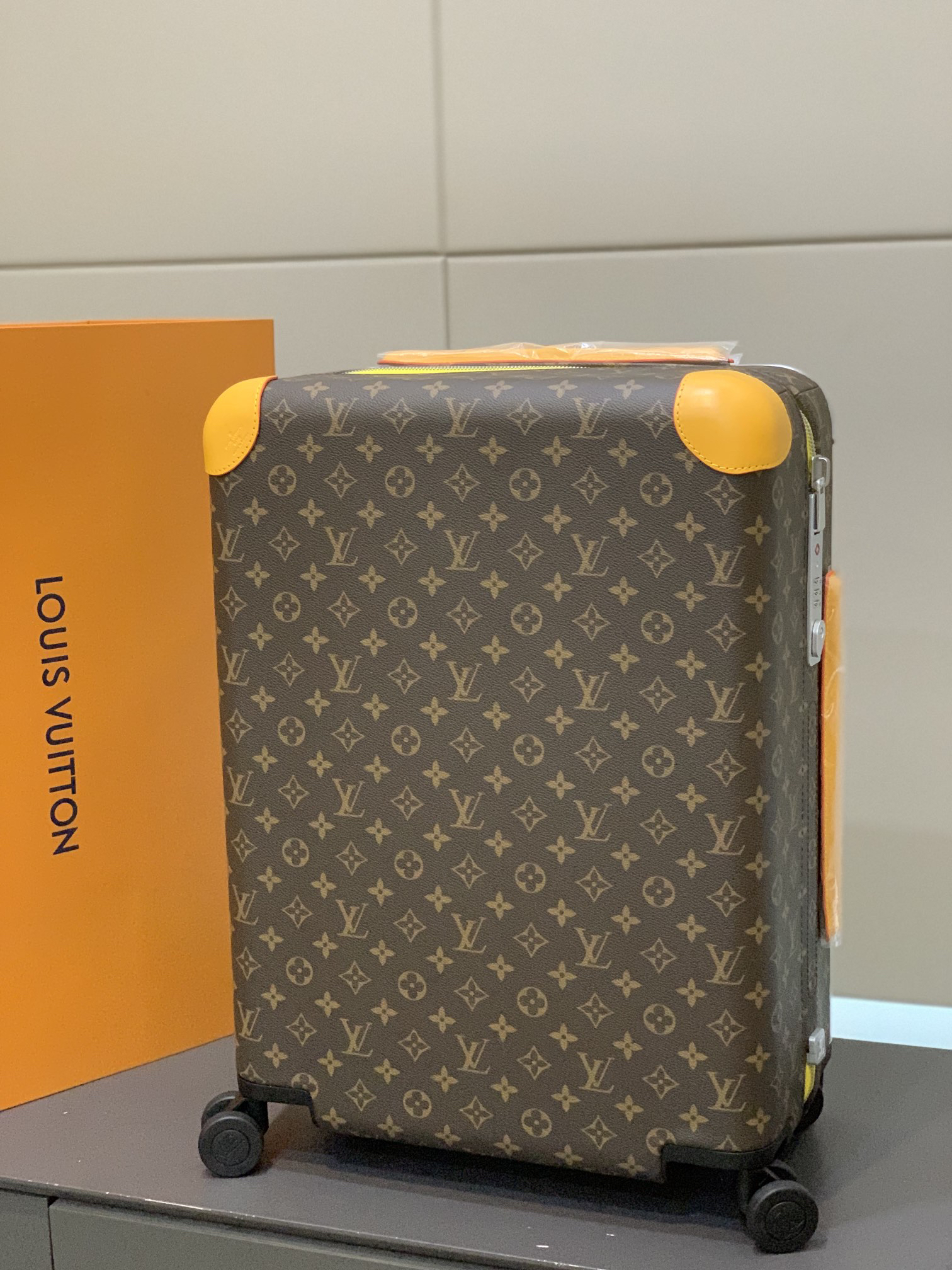 LV luggage-87
