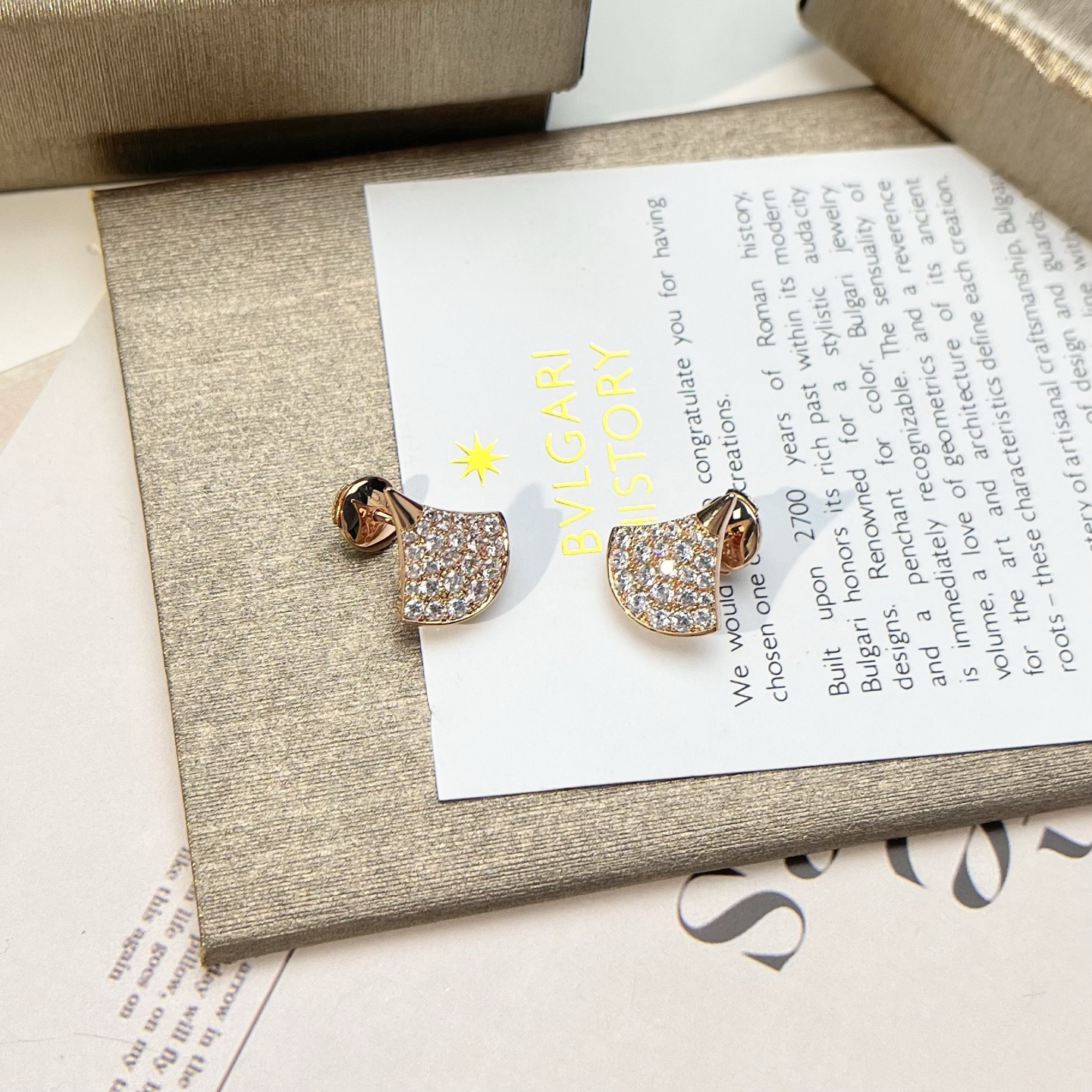 Bottega Veneta earrings-17