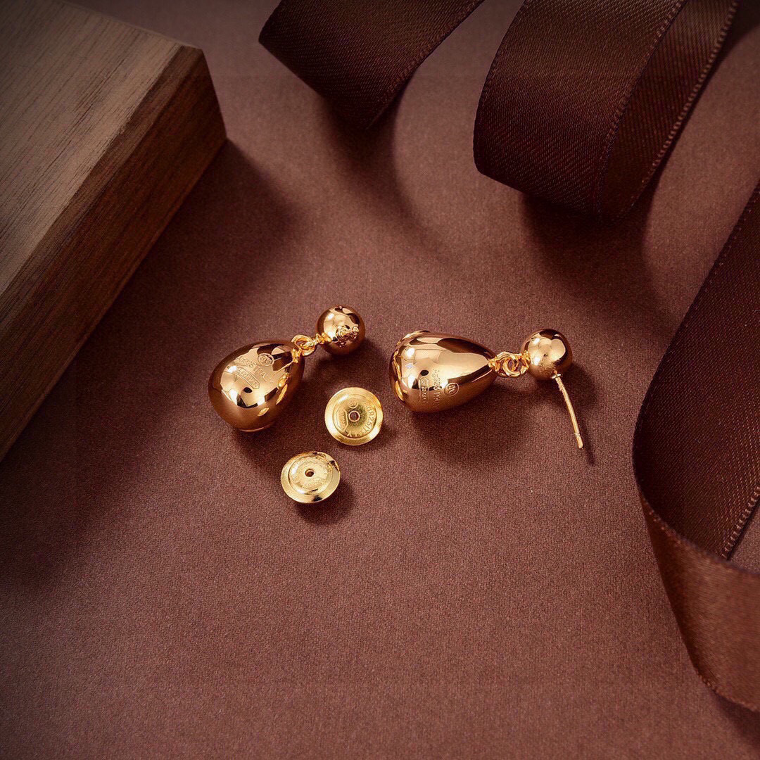 Bottega Veneta earrings-9
