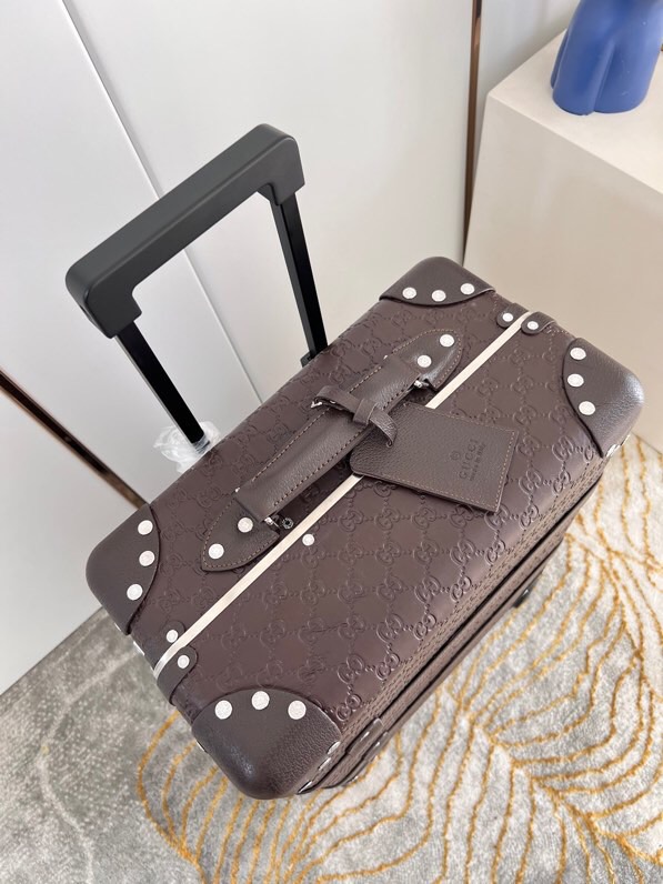 Gucci luggage-9