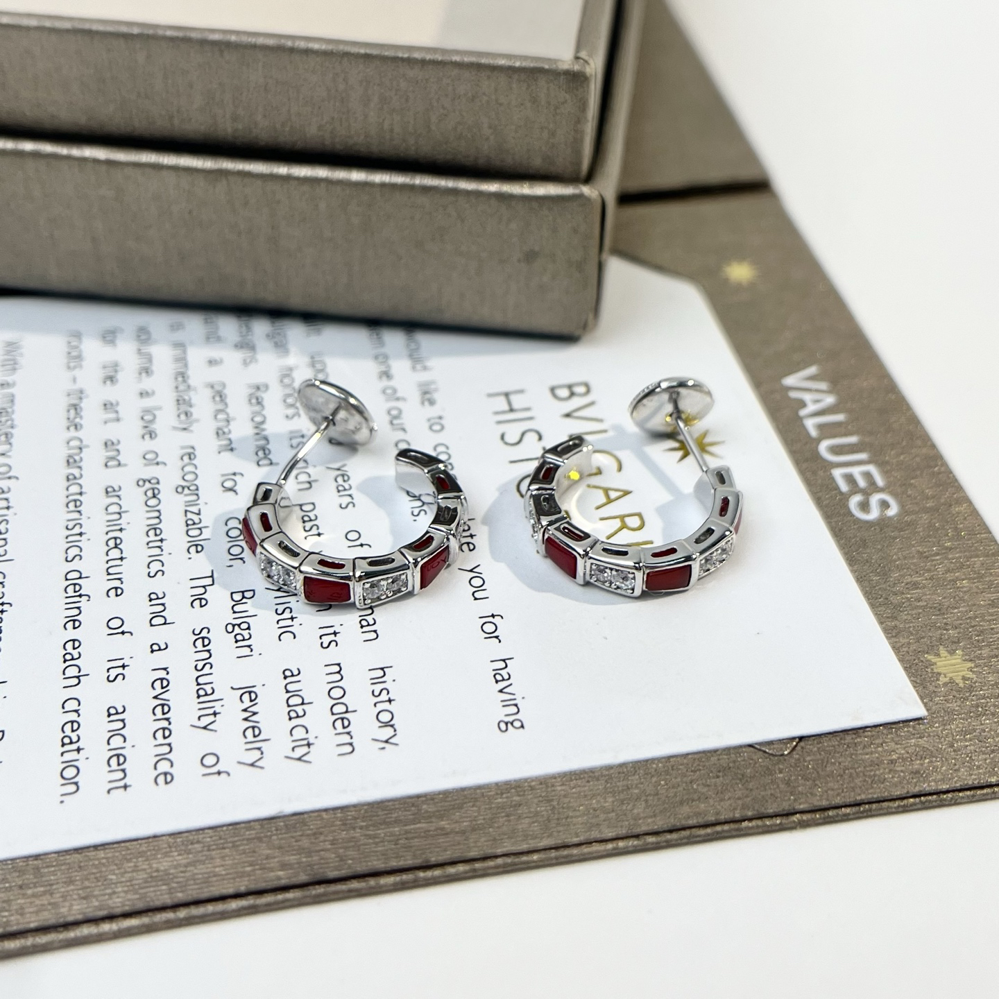 Bottega Veneta earrings-18