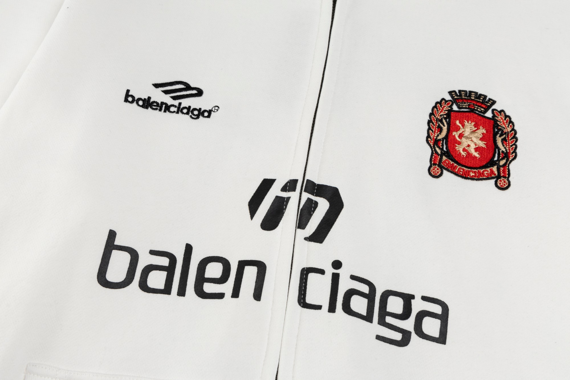 Balenciaga Clothing-314