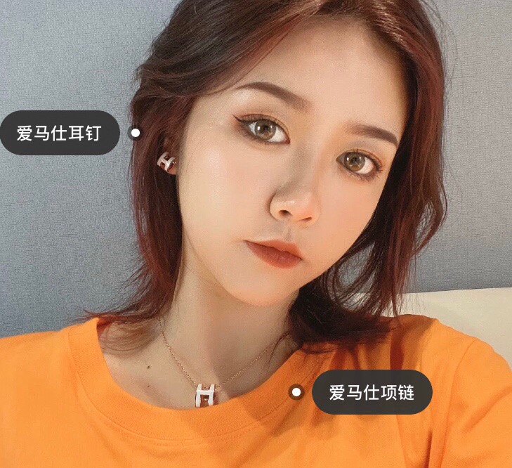 Hermes earrings-5