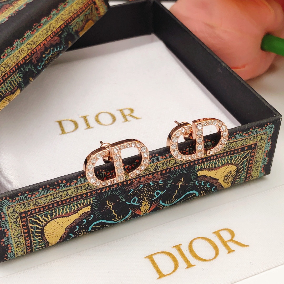 Dior earrings-90