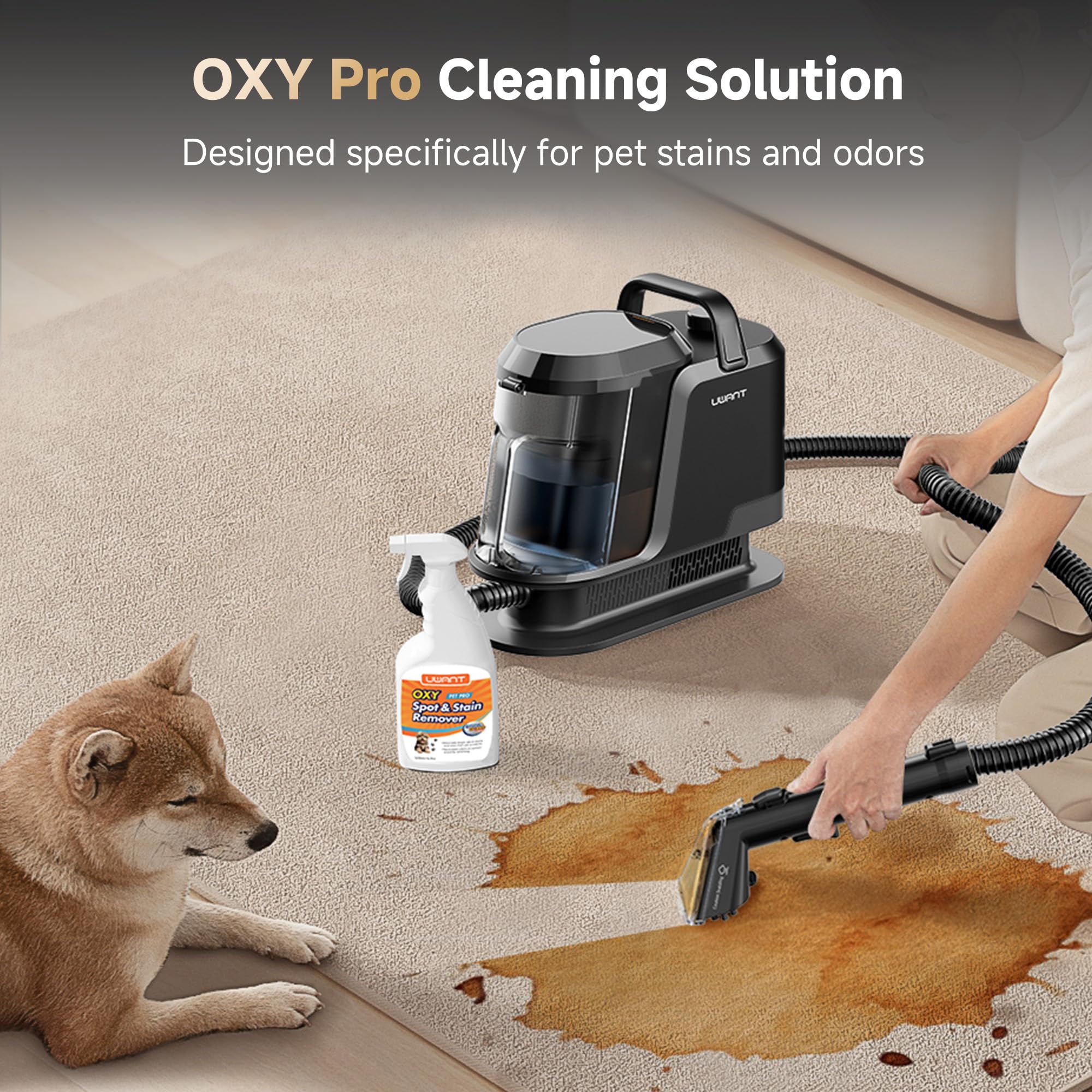 UWANT Carpet Cleaner Machine with Powerful Suction & Steam