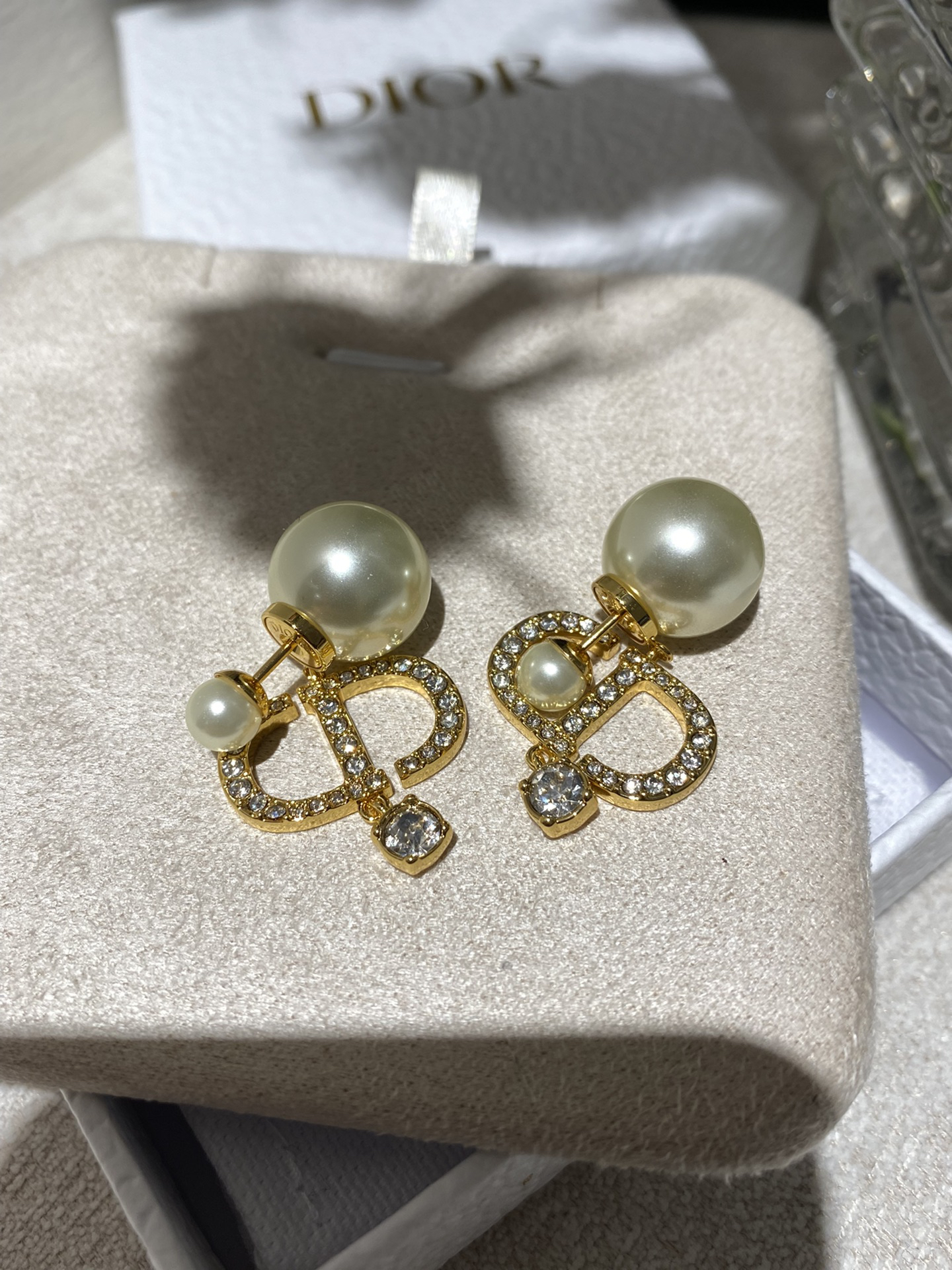 Dior earrings-74